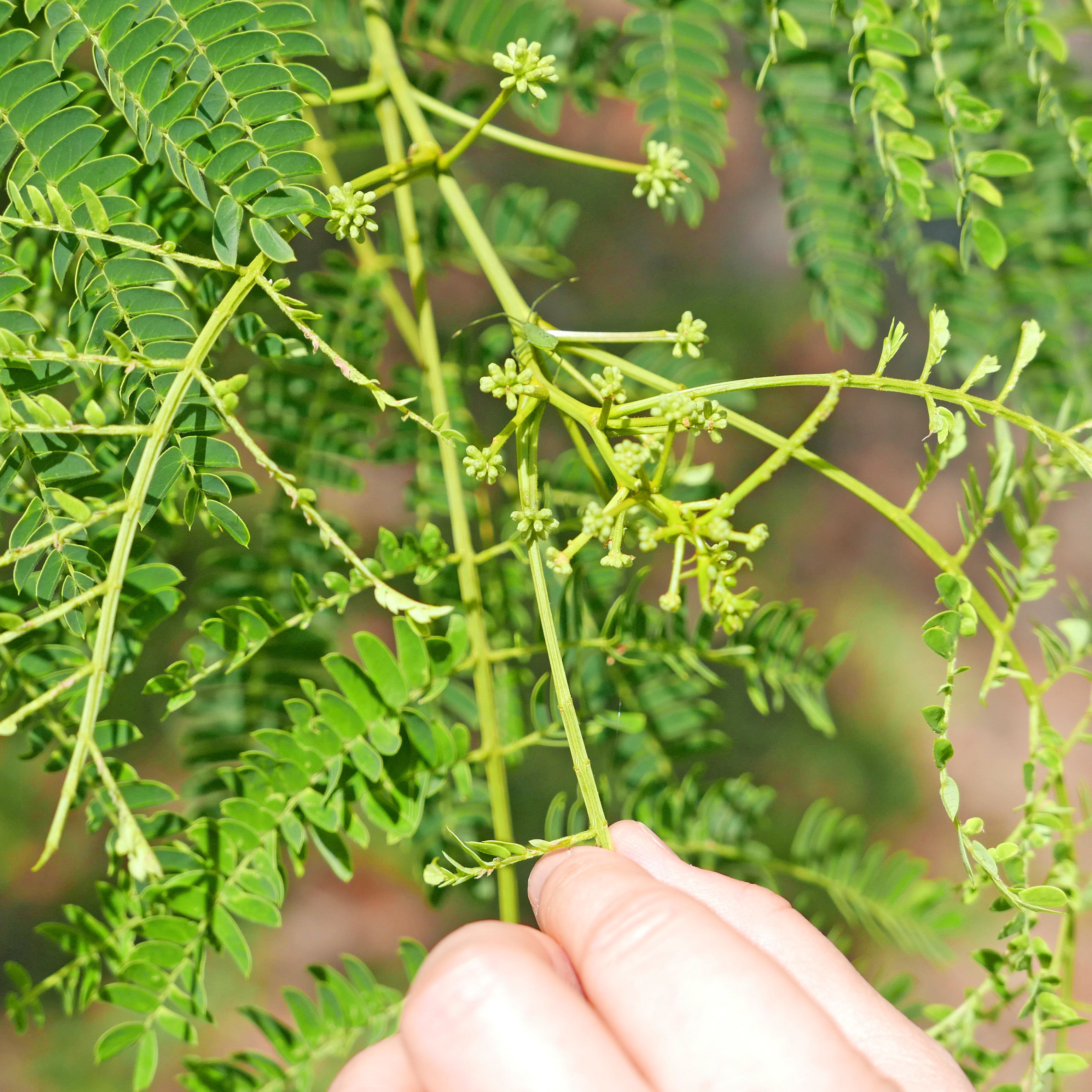 LUMIX　のぼうの城