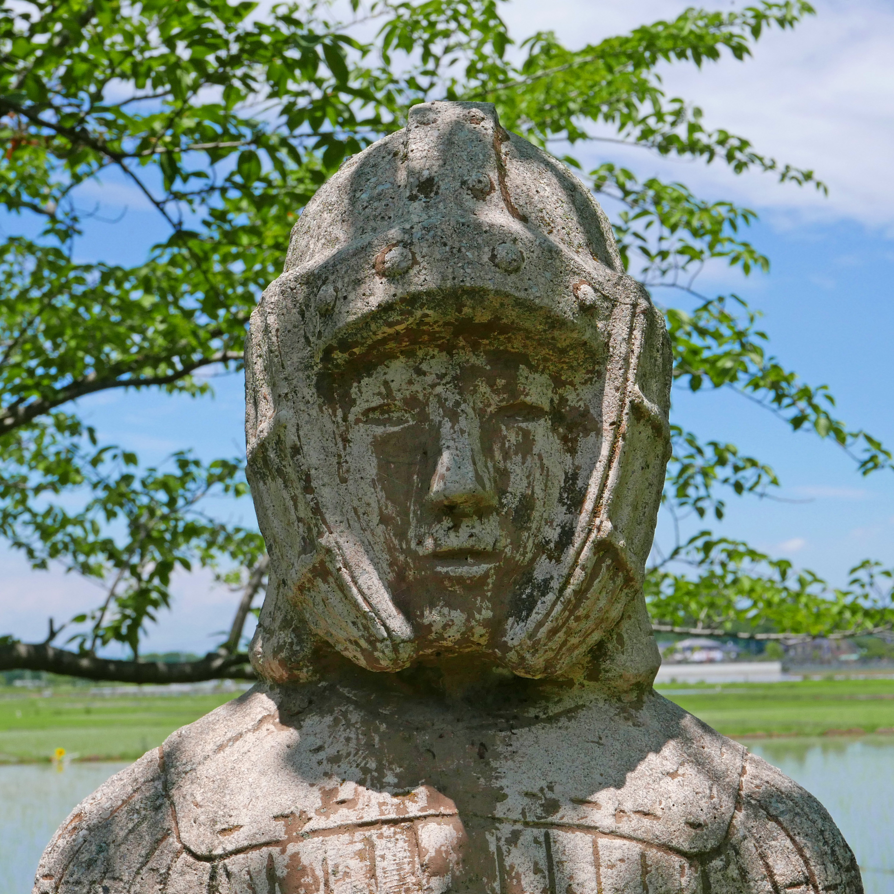 LUMIX　のぼうの城