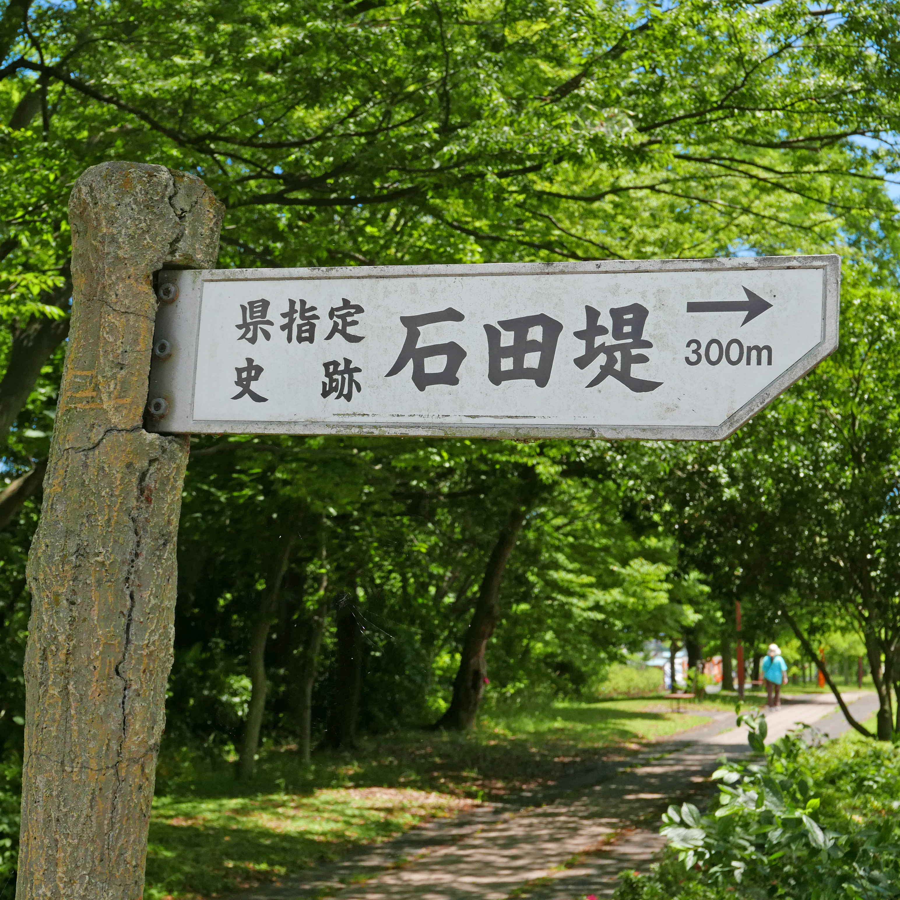 LUMIX　のぼうの城