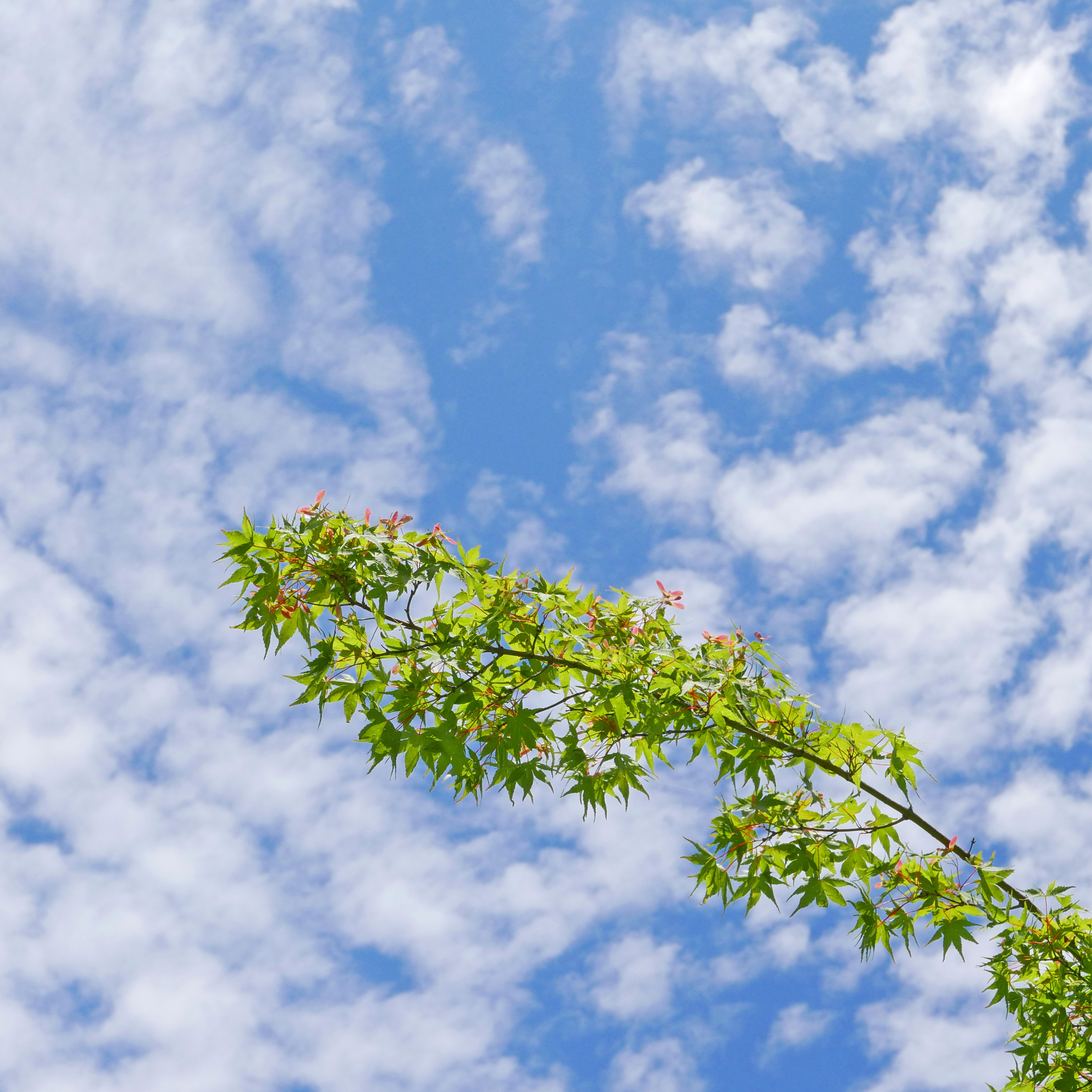 LUMIX　のぼうの城