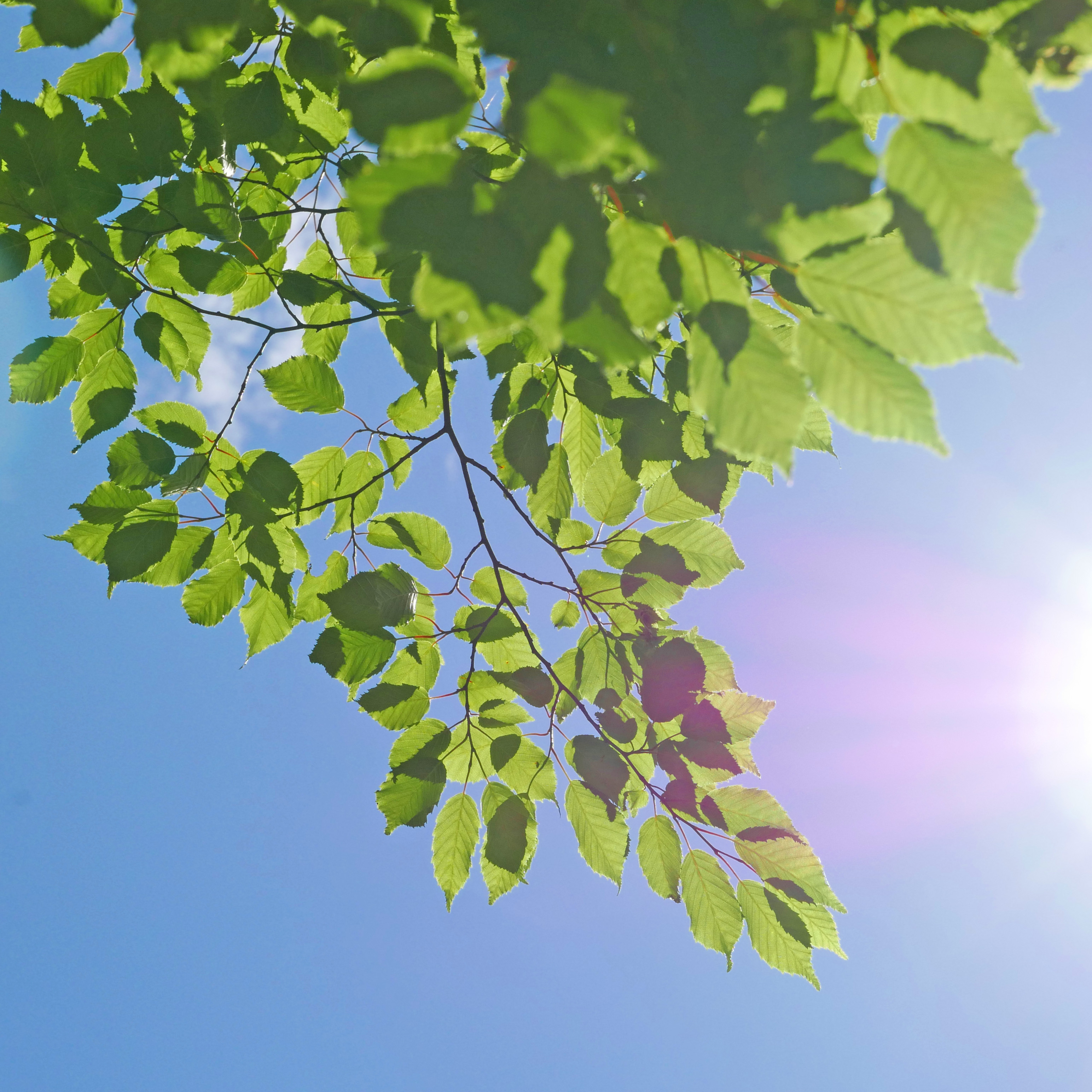 LUMIX　のぼうの城