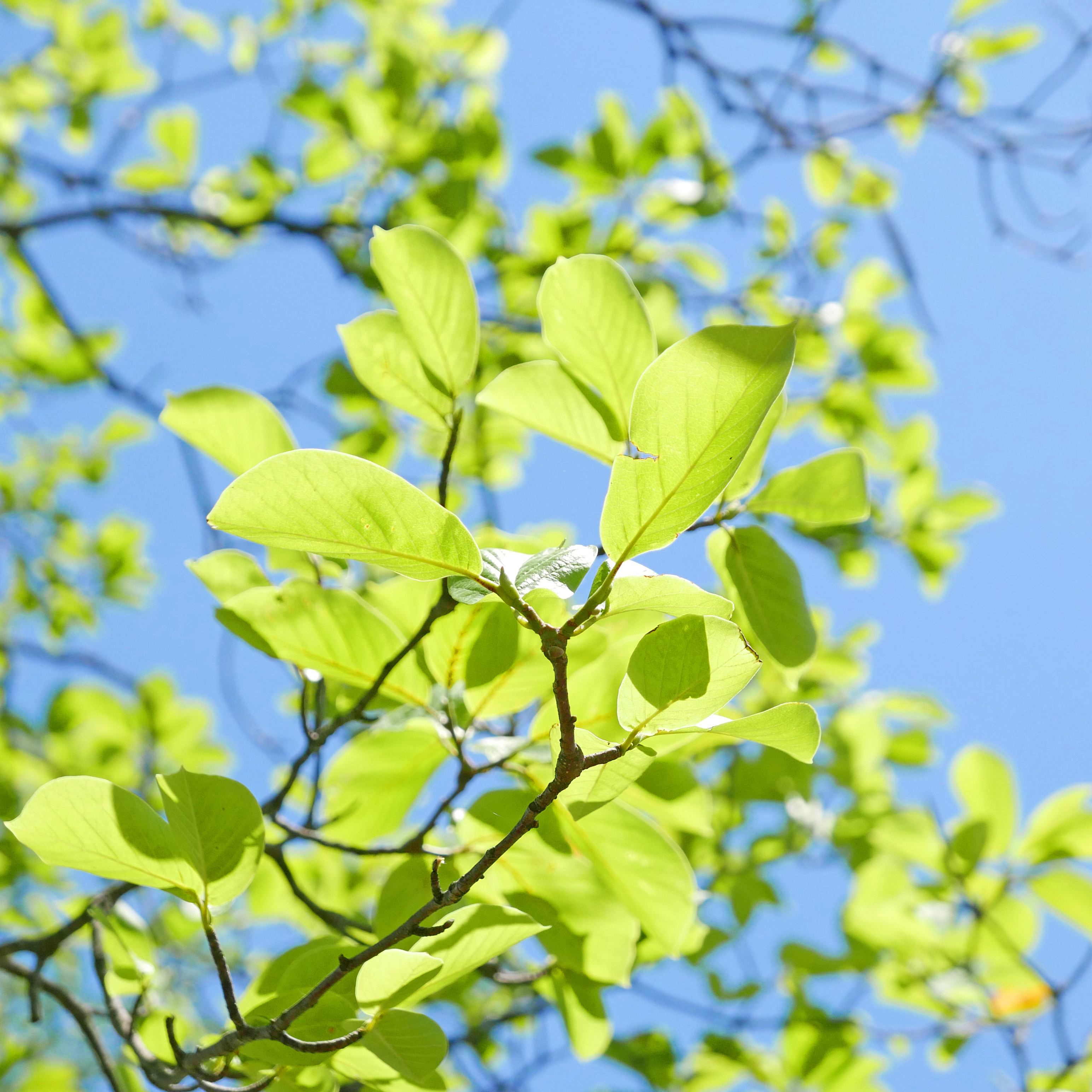 LUMIX　のぼうの城