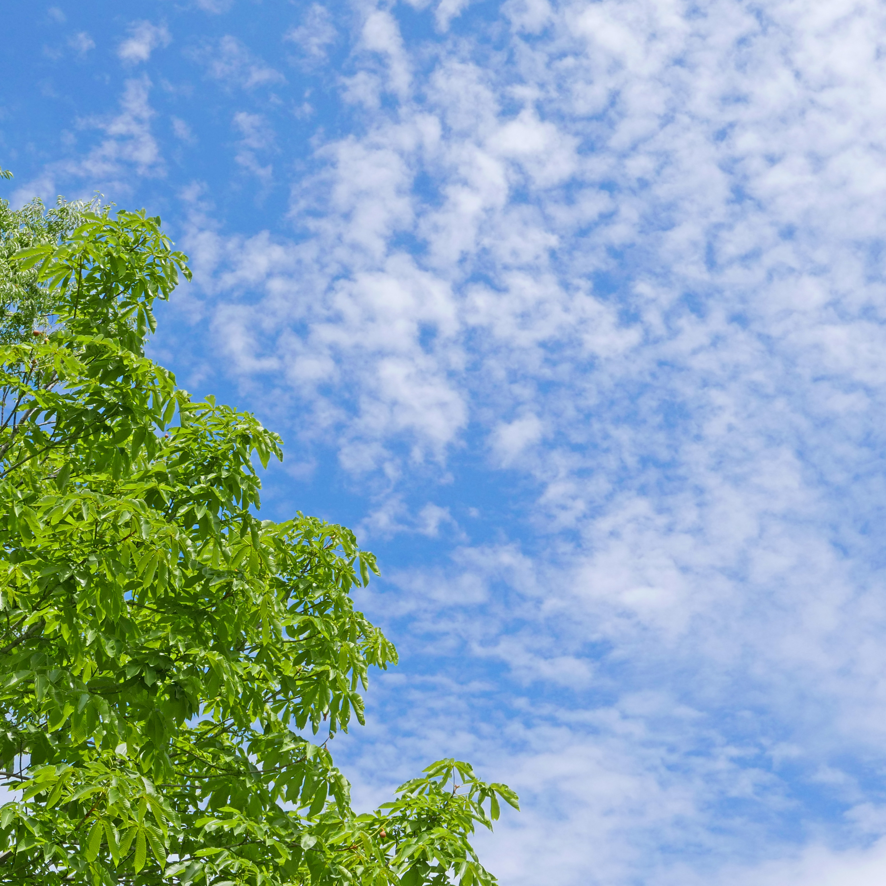 LUMIX　のぼうの城