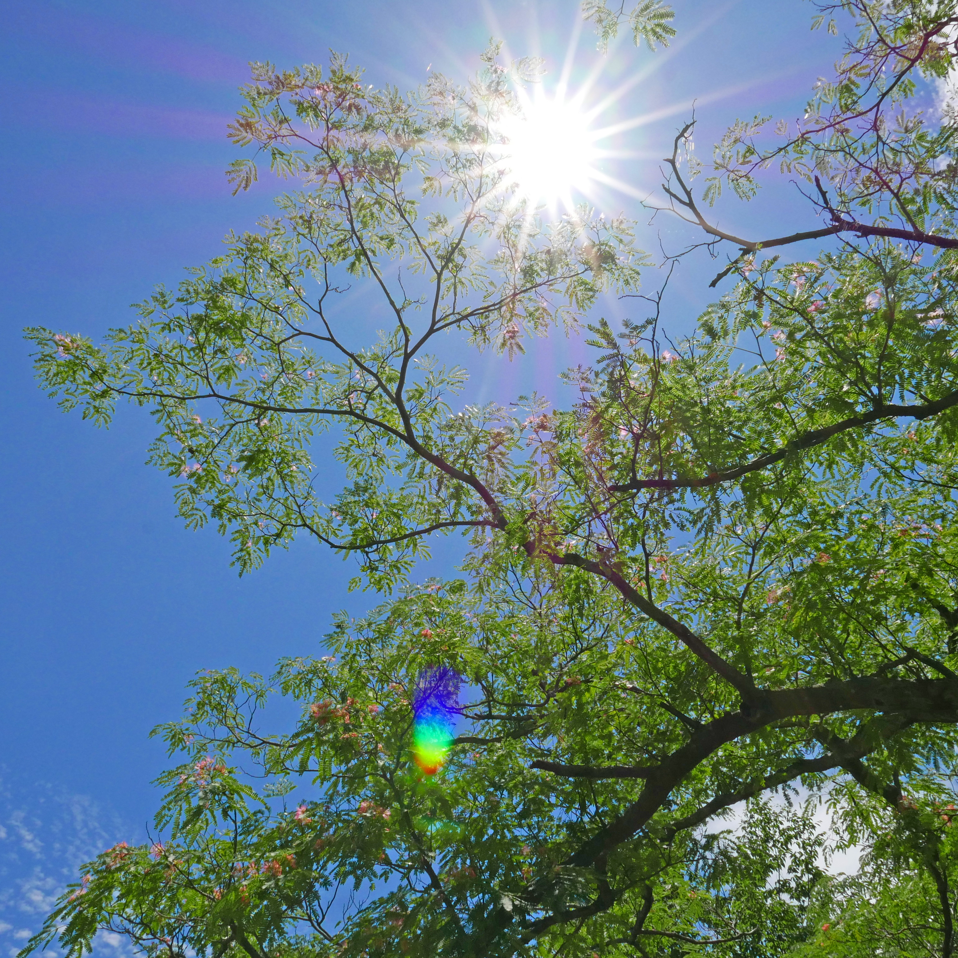 LUMIX　のぼうの城