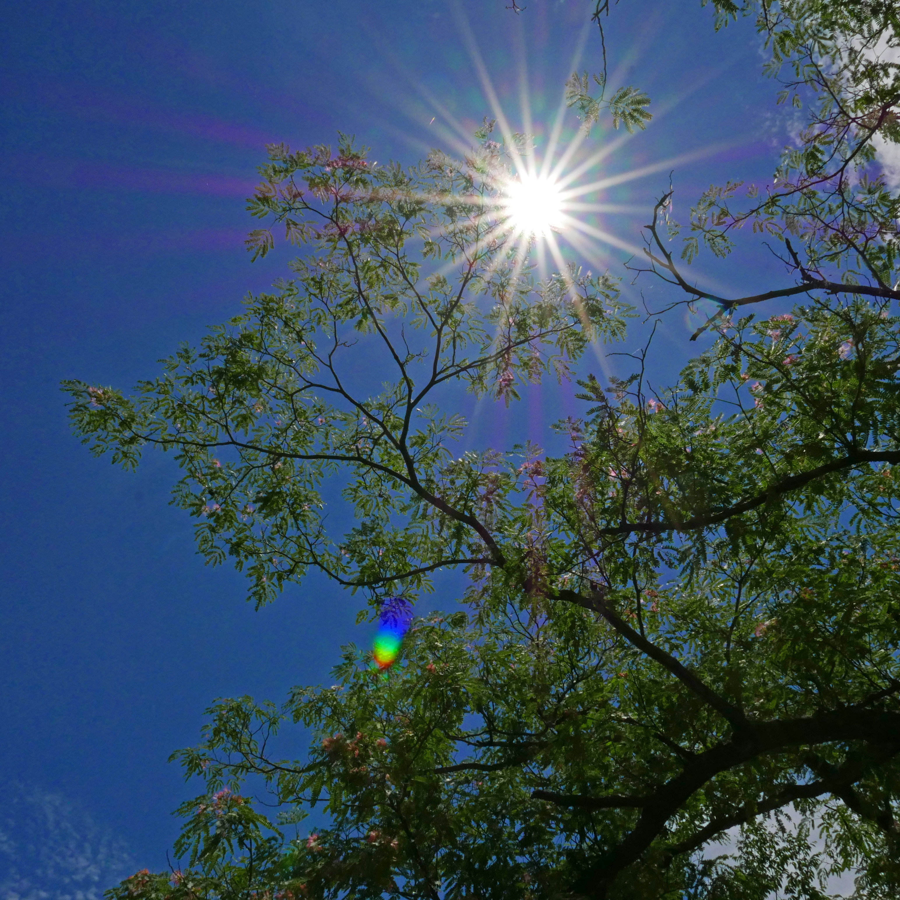 LUMIX　のぼうの城