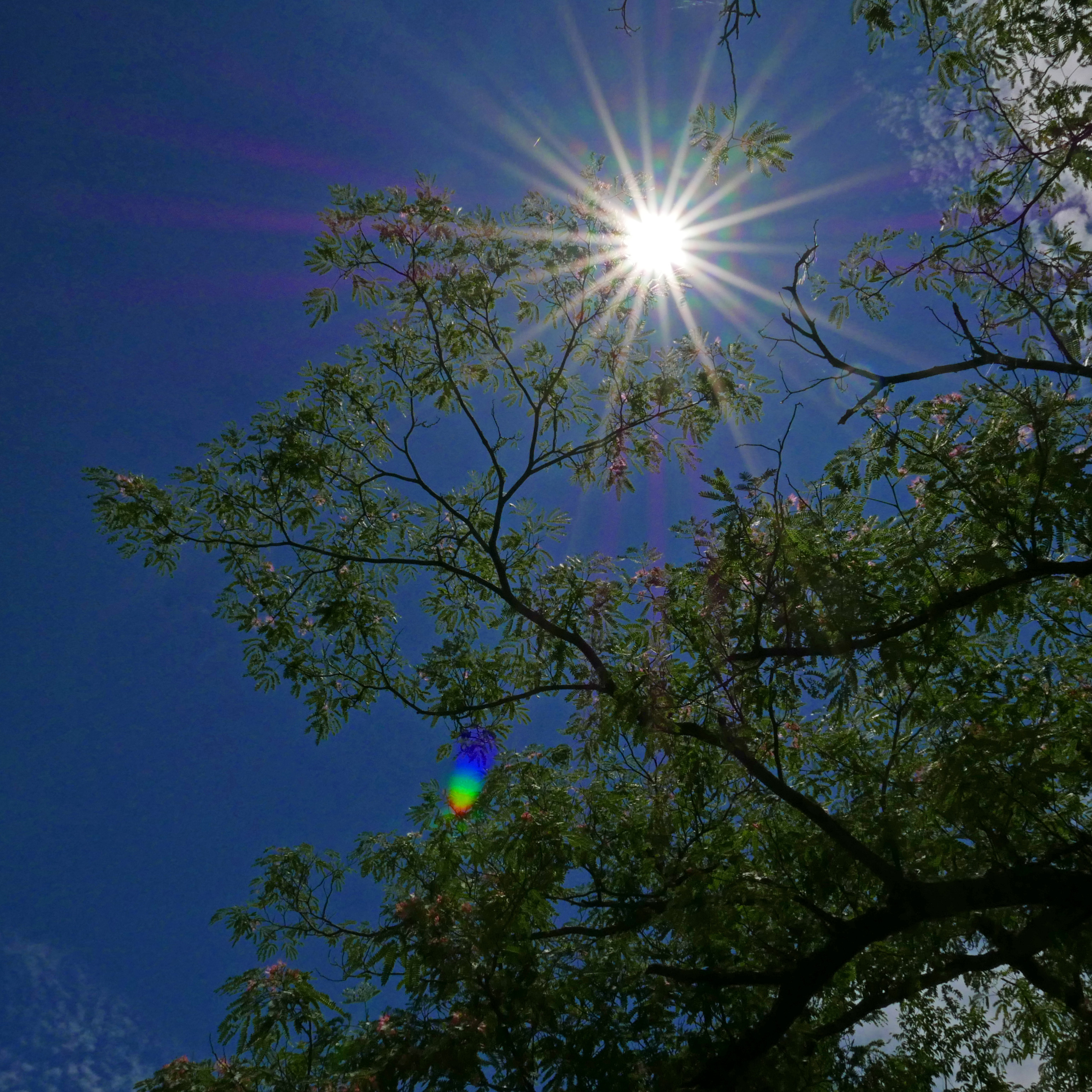 LUMIX　のぼうの城