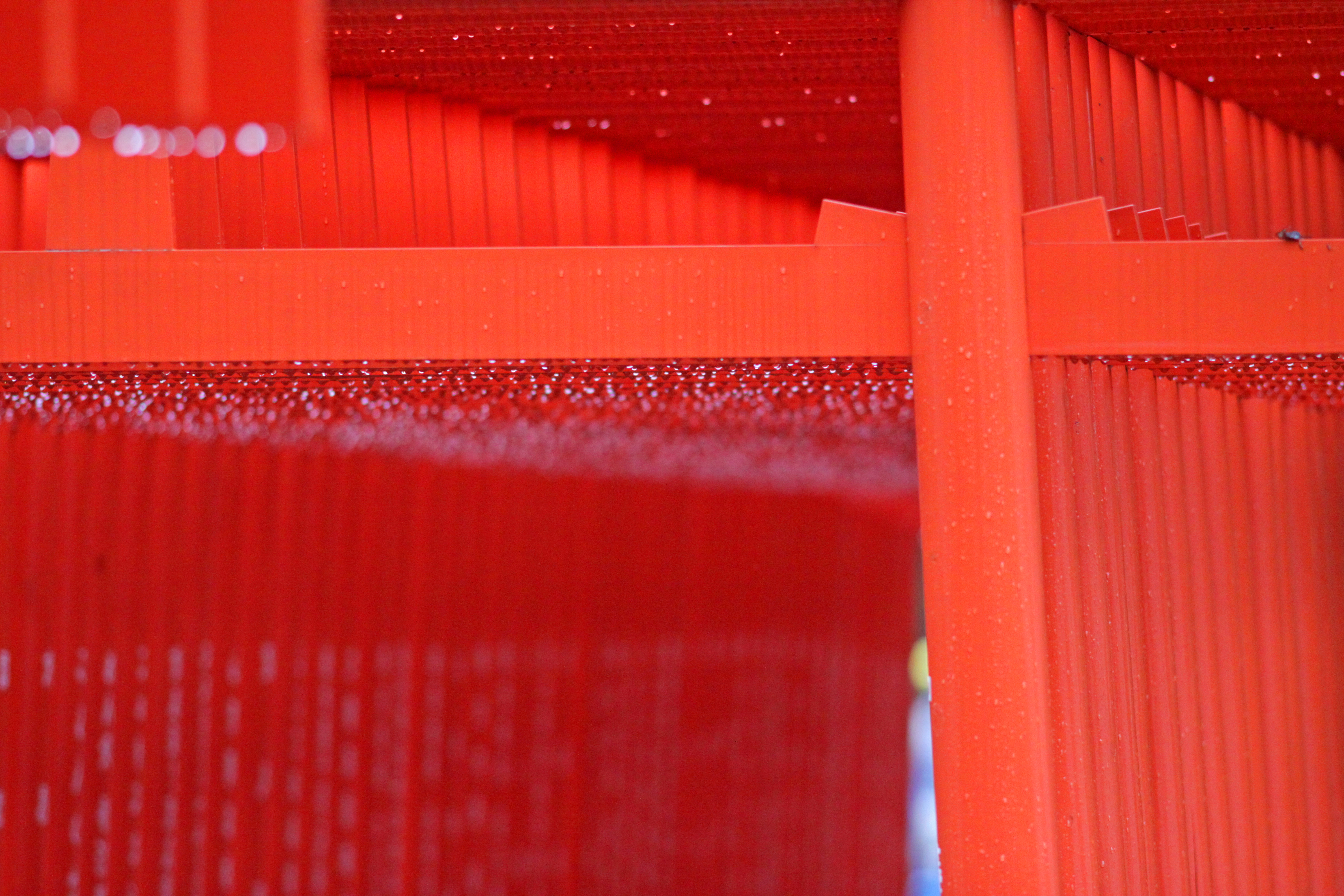 EF200mm　深川神社