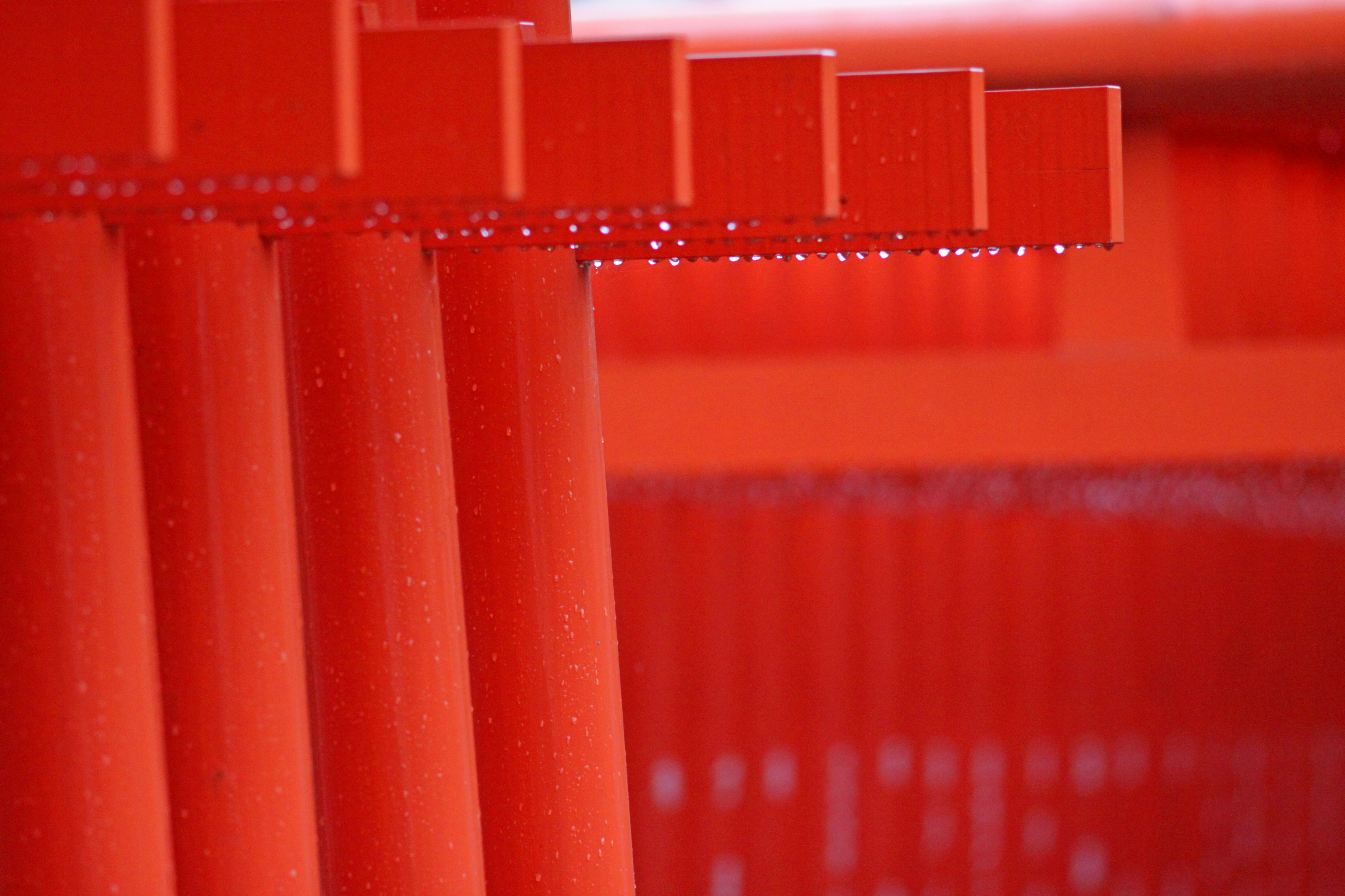EF200mm　深川神社