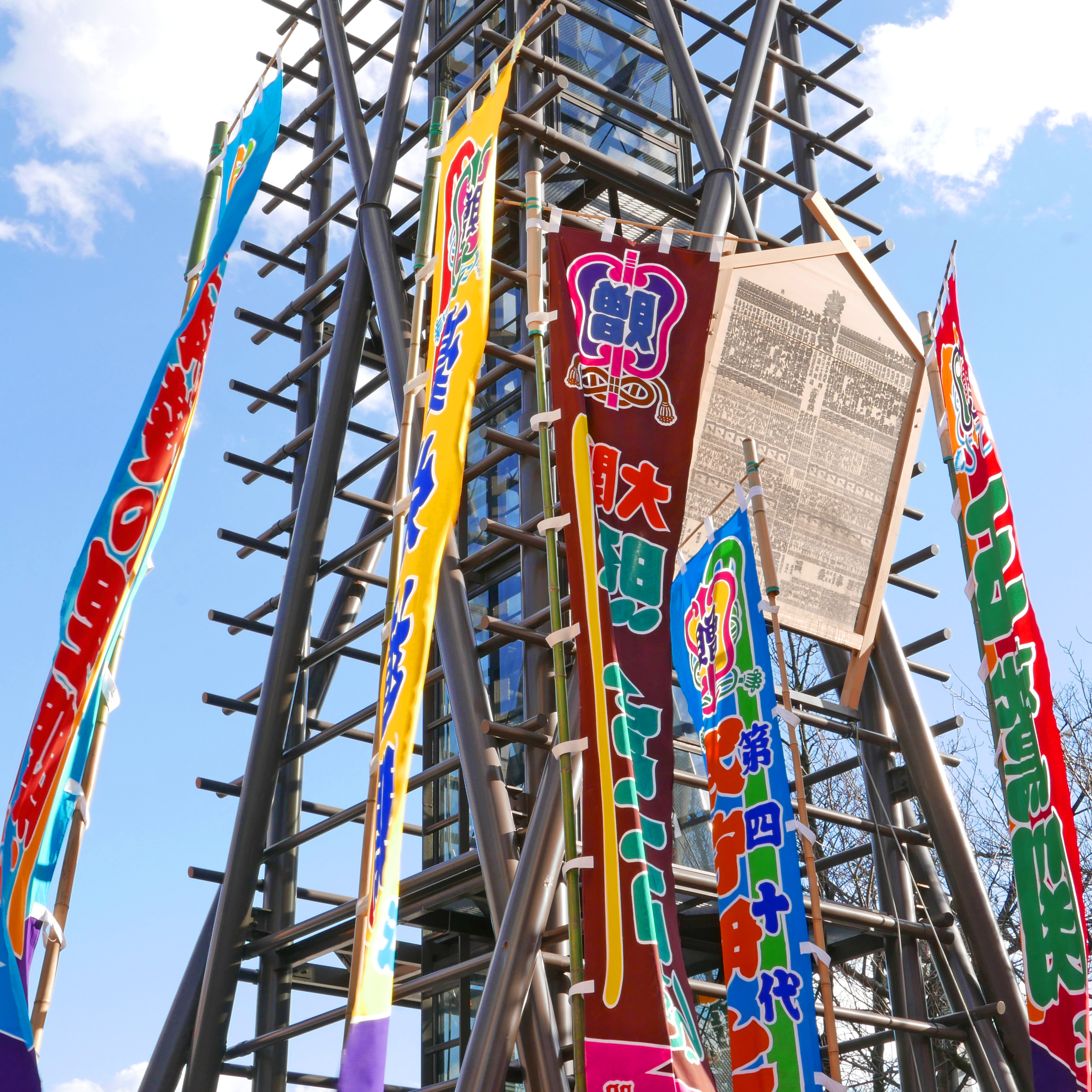 ホワイトバランス　両国