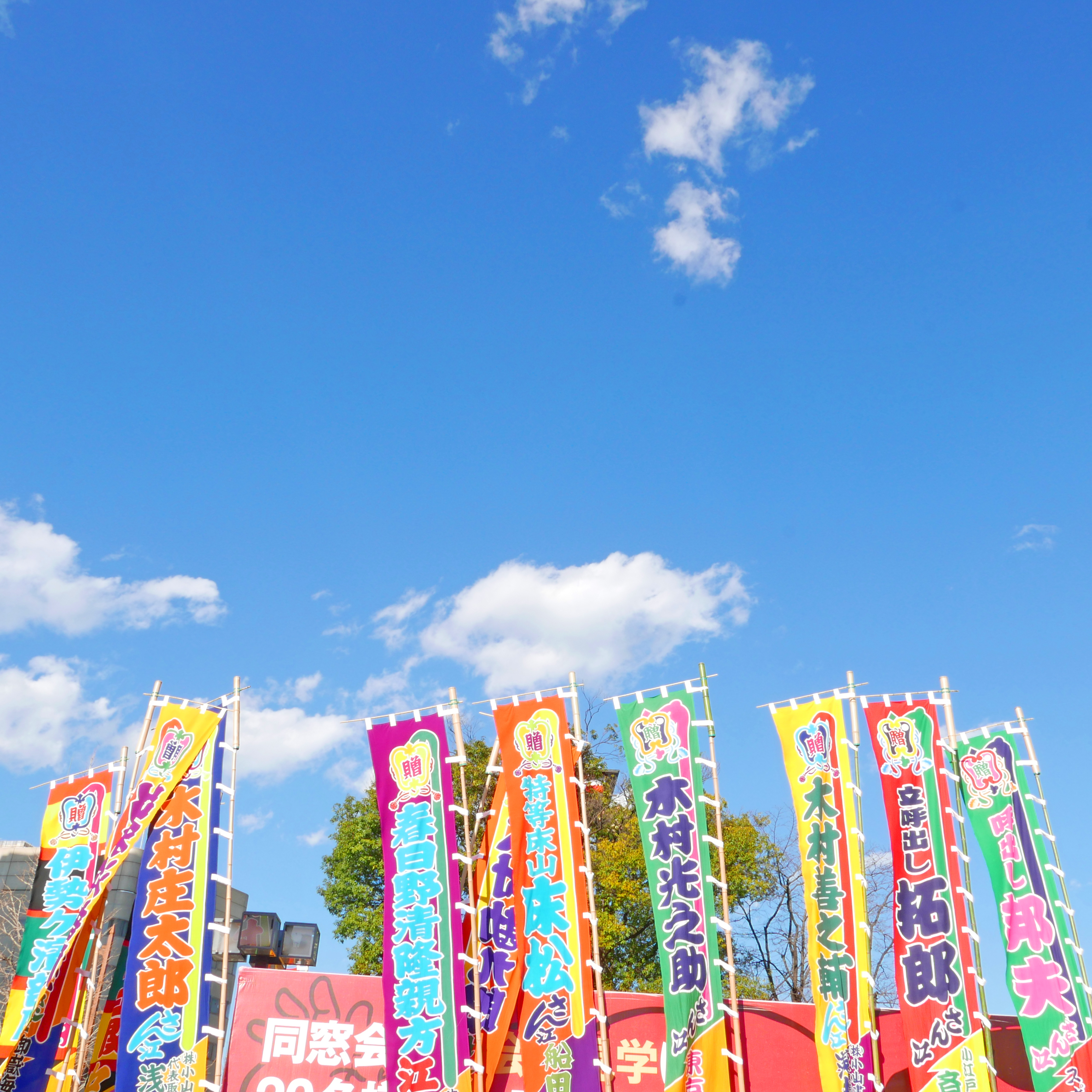 ホワイトバランス　両国