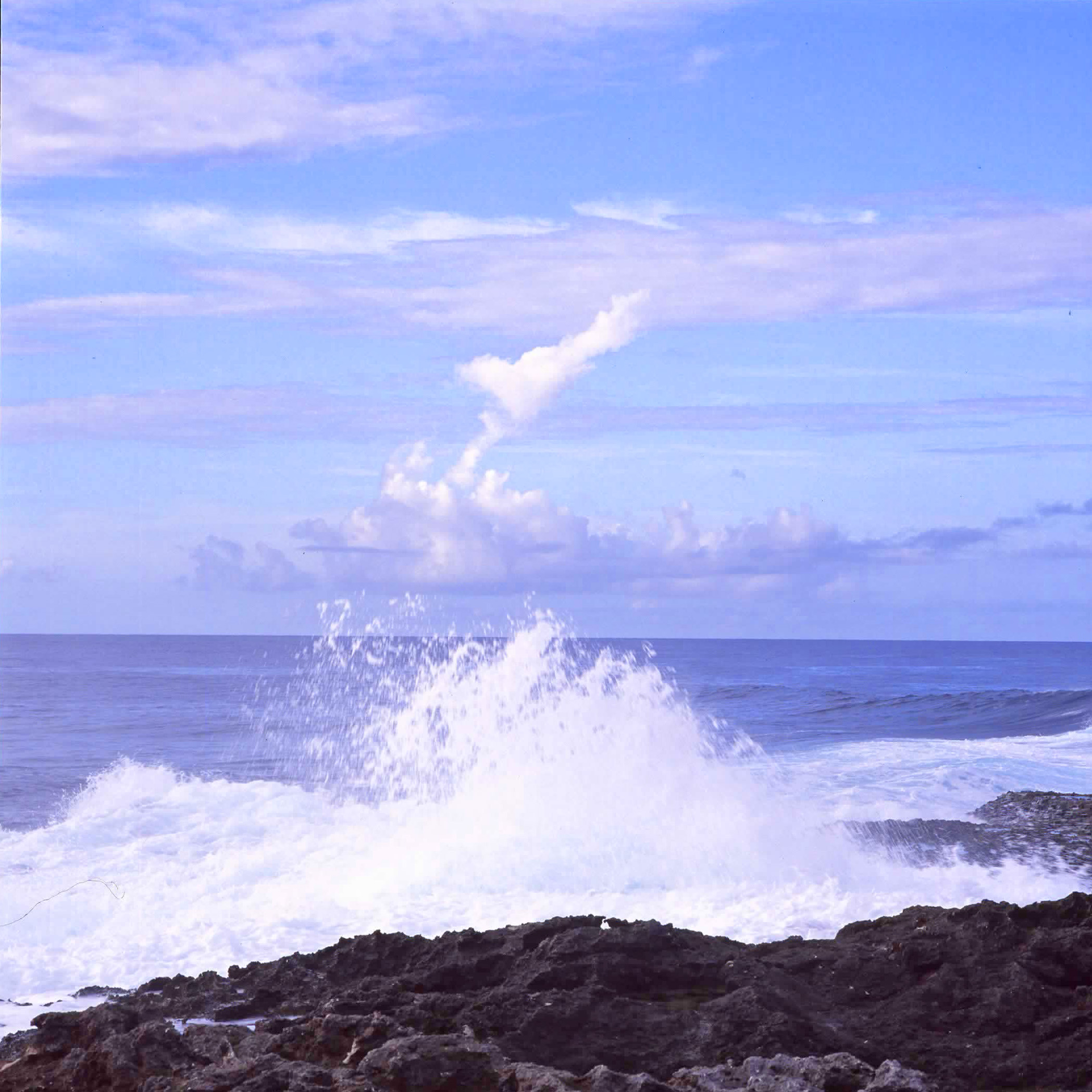 ハッセルブラッド　ゾナー