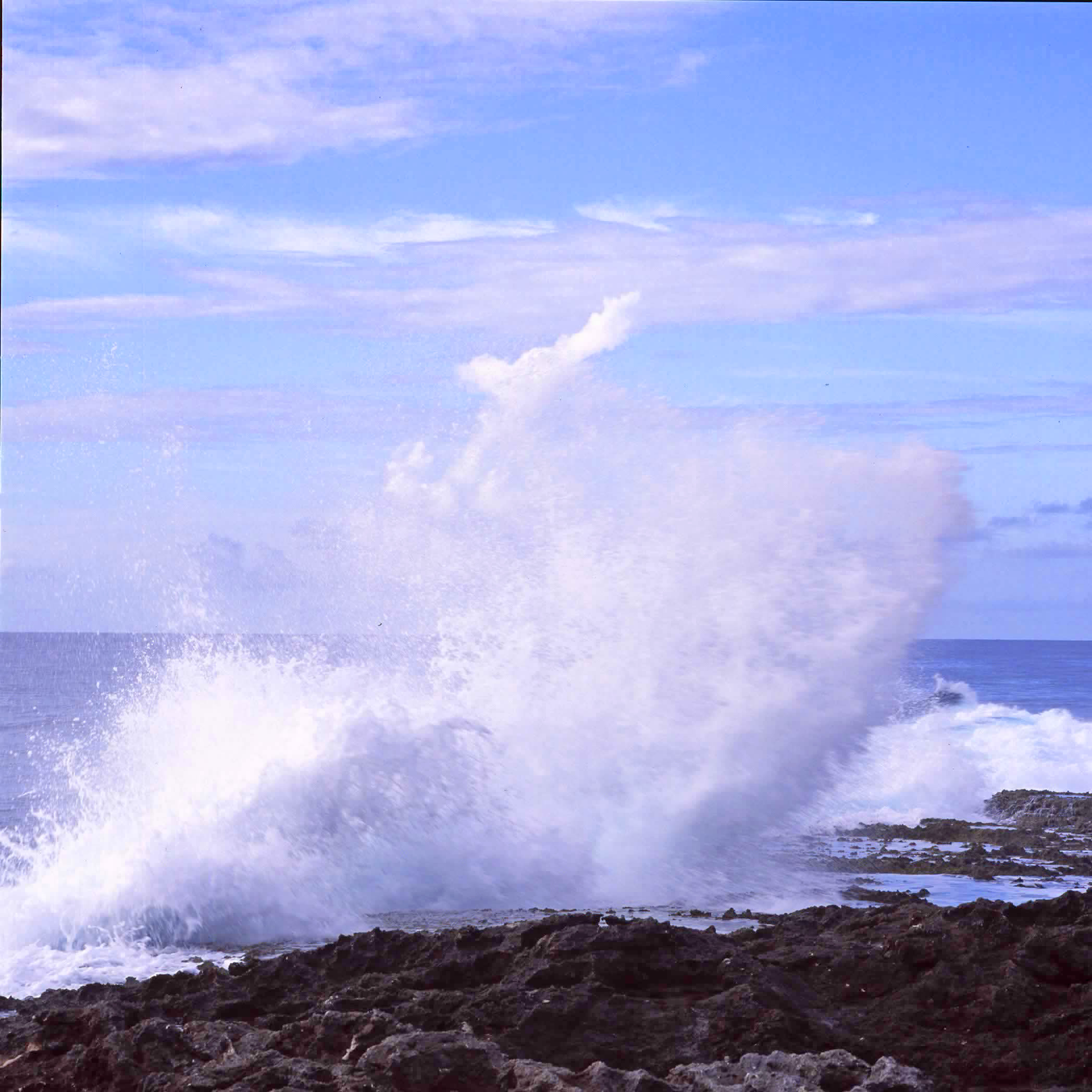 ハッセルブラッド　ゾナー