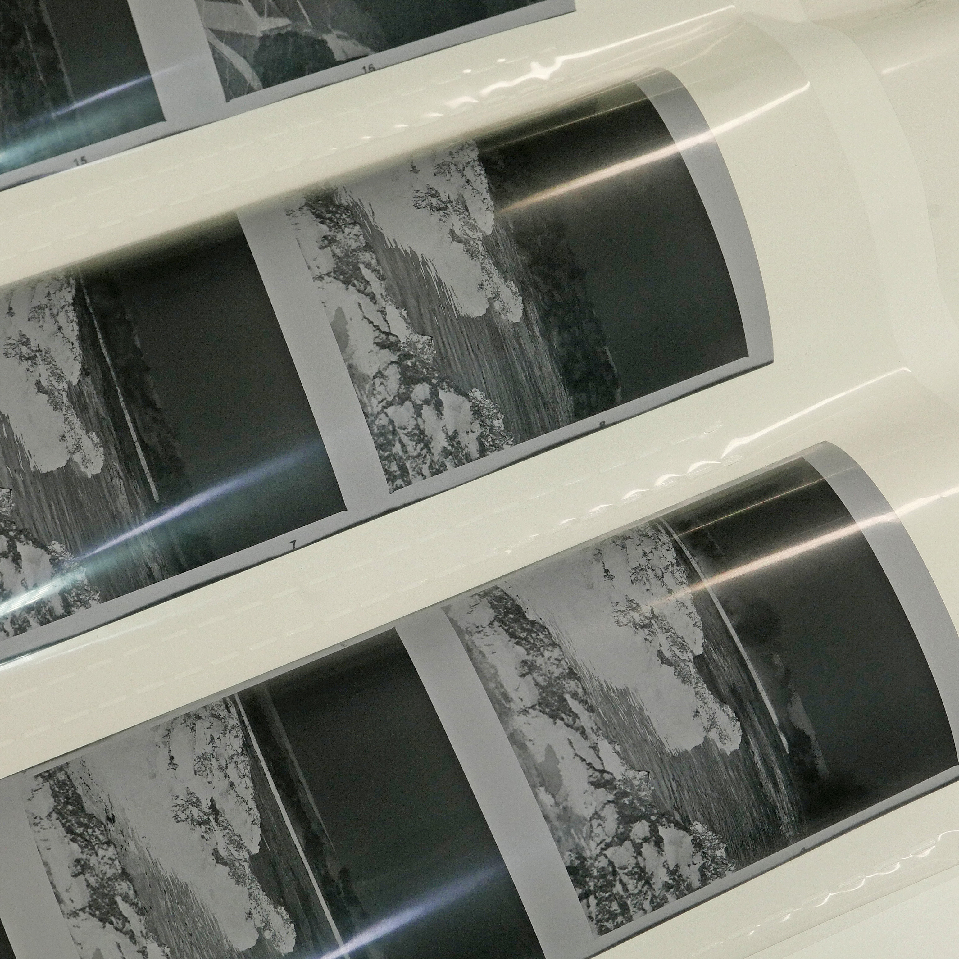 フィルム ローライ