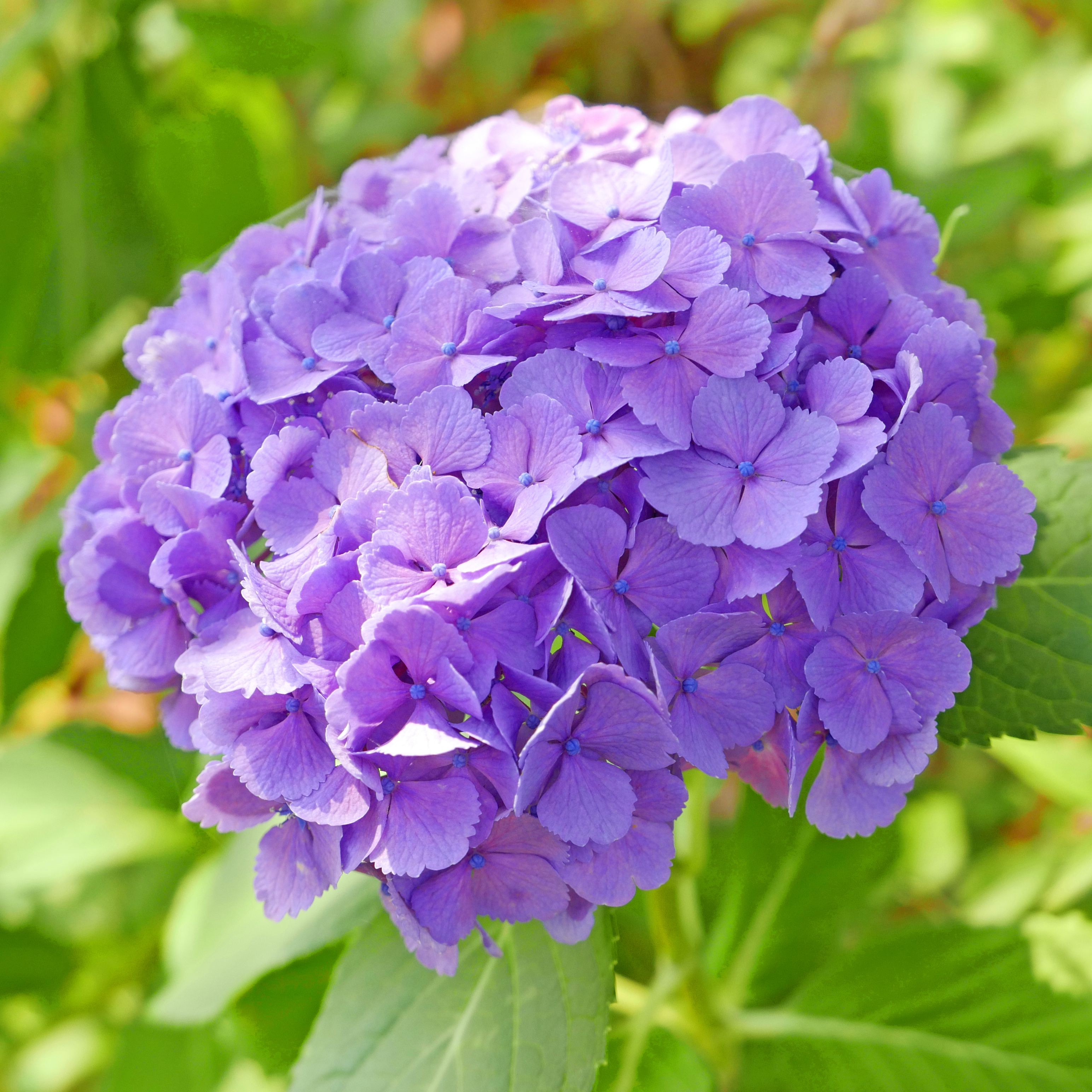 LUMIX 駆け上がり