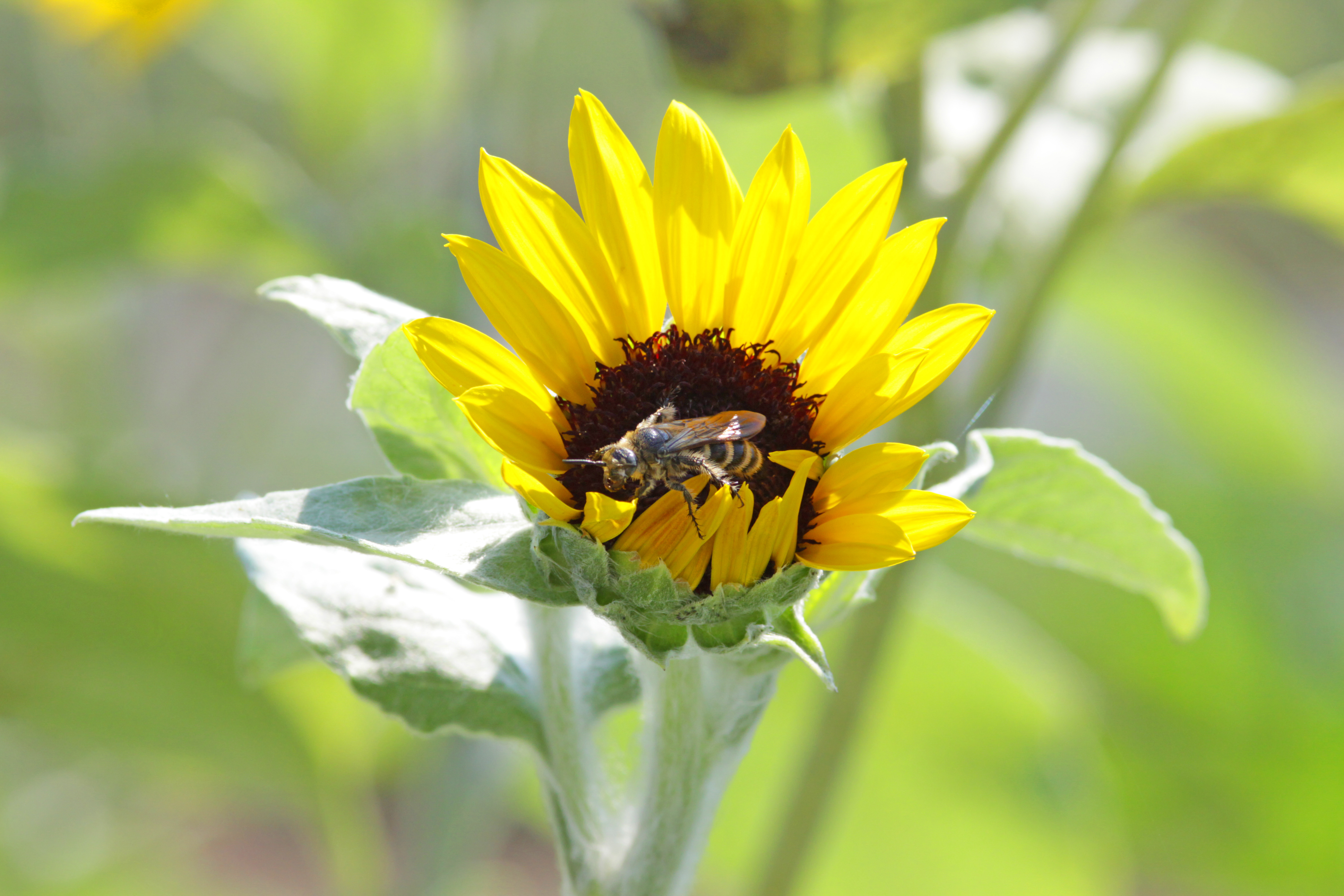 LUMIX　駆け上がり