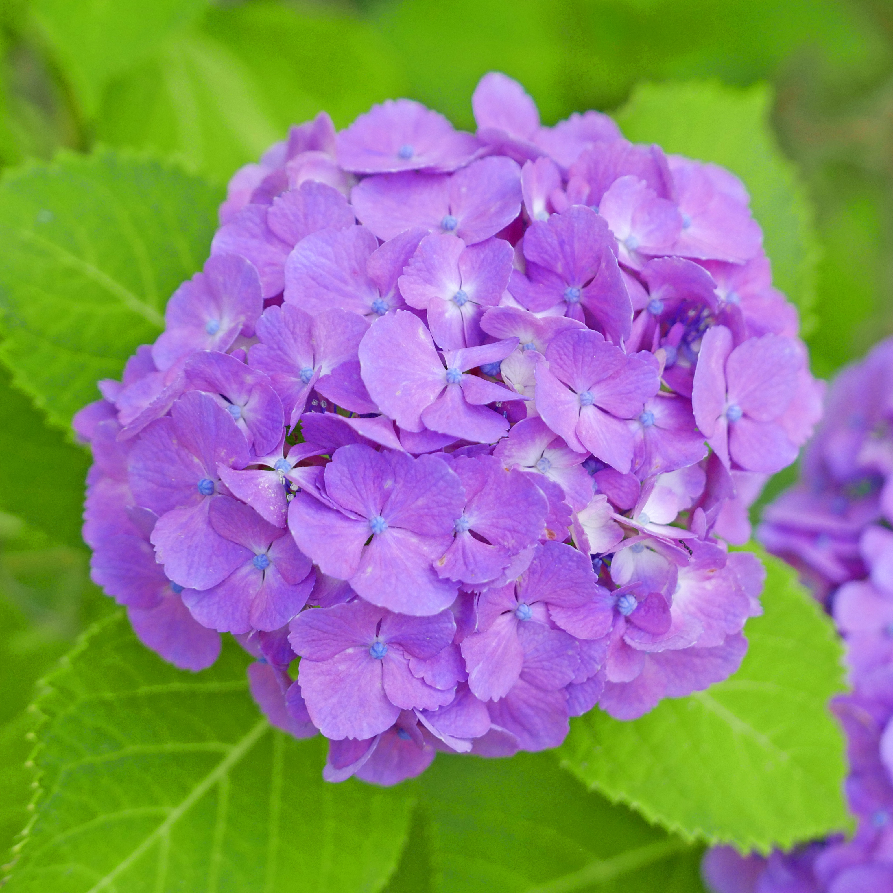 LUMIX　駆け上がり