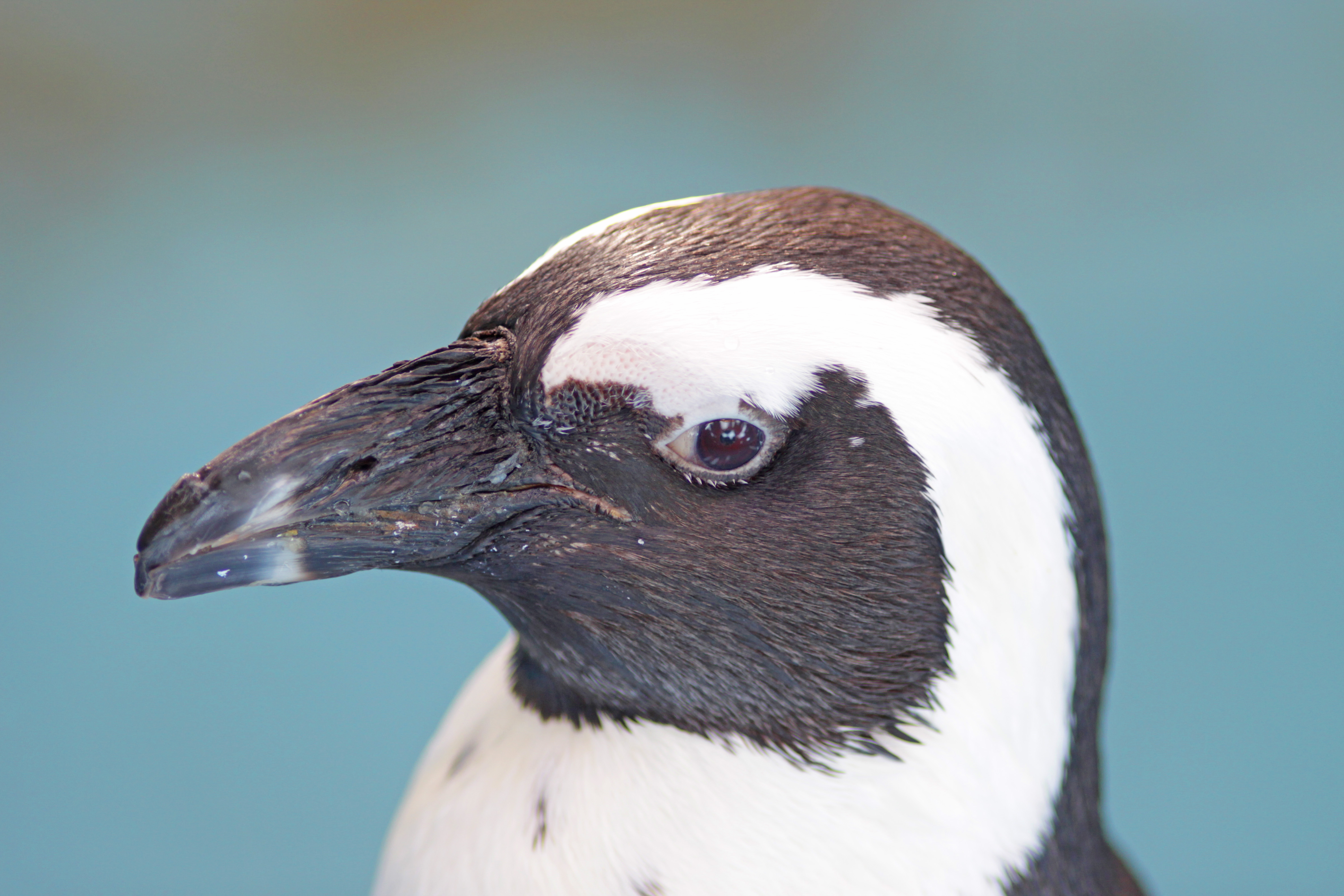 被写界深度　盛る
