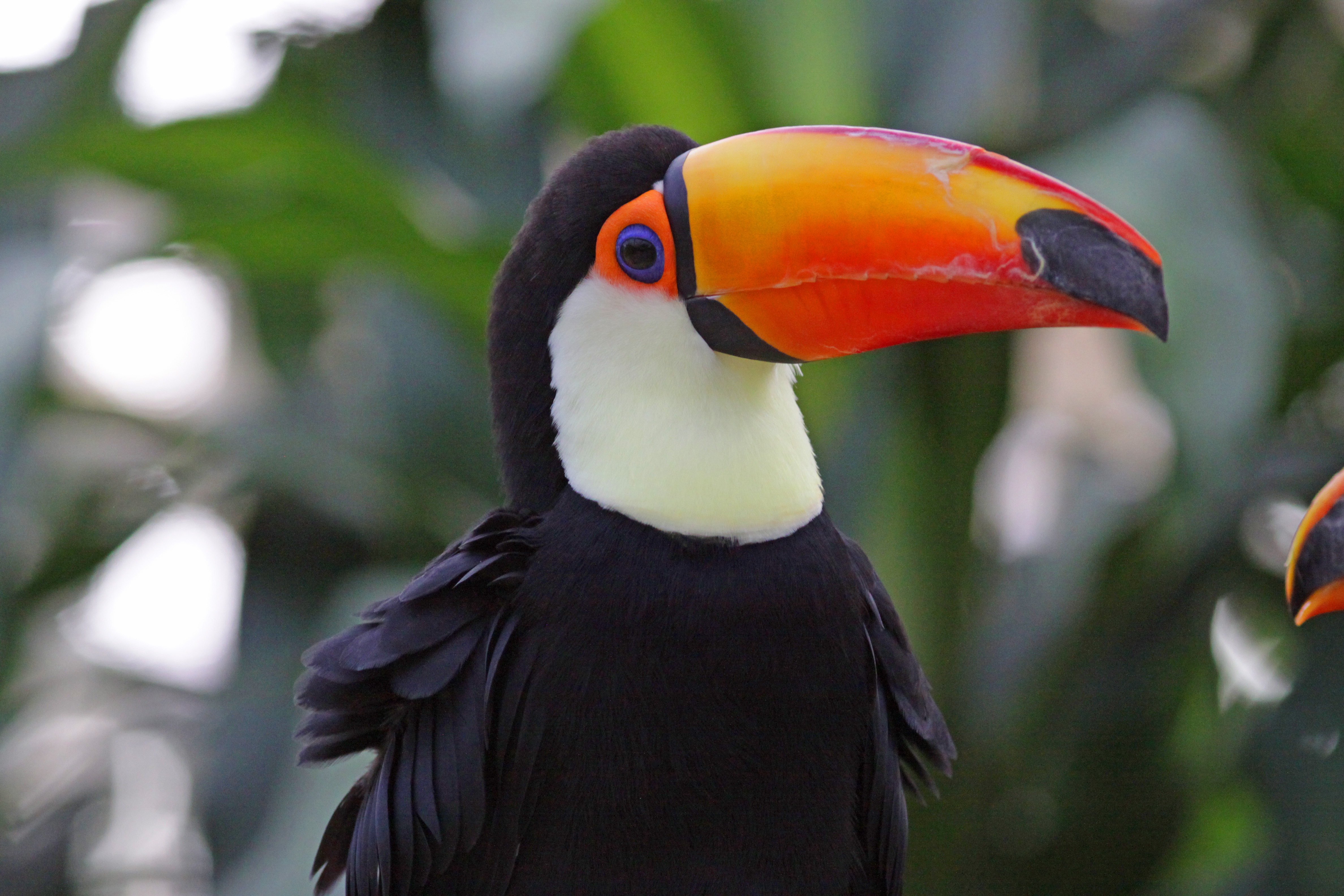 被写界深度　盛る